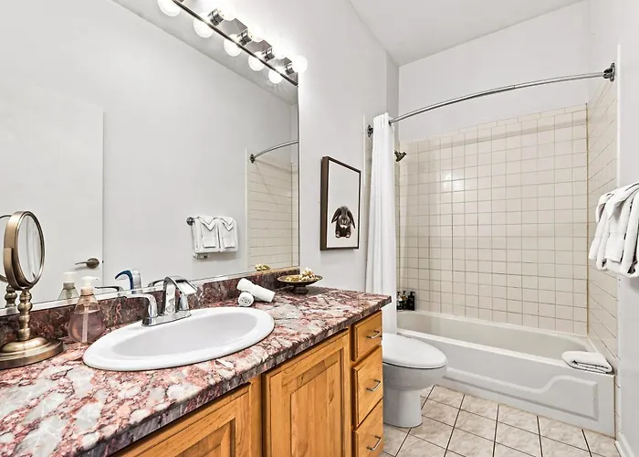 Skyline Views River West Townhouse; 2 Parking Incl Townhouse Chicago